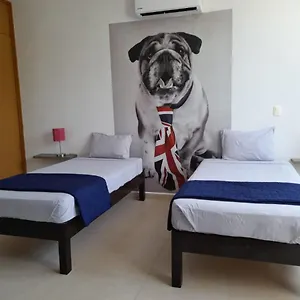 book here